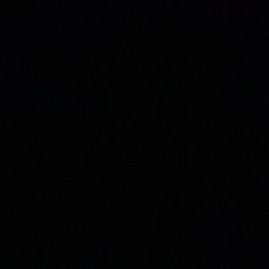 Meet your Posher, Sadie